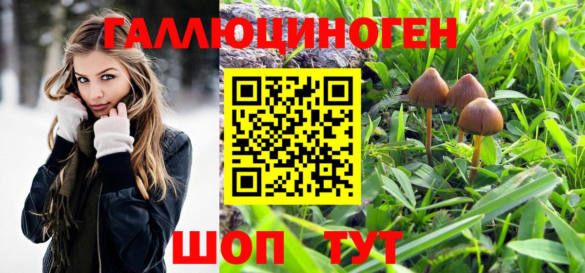 купить   Вход с VPN  Уварово  Псилоцибиновые грибы Magic Shrooms  Псилоцибиновые грибы Magic Shrooms 
